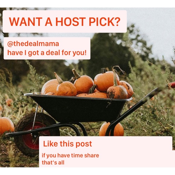 closet closing (taking a hiatus because baby #7) 🪴 - Picture 4 of 11